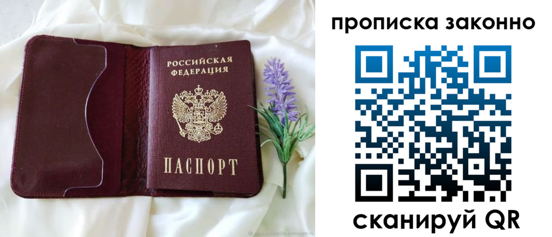 регистрация в Ярославской области